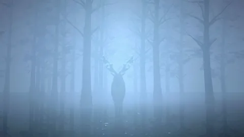 阿奇-格雷坚韧不拔，力破非议；贝林铸就英格兰中场传奇典范